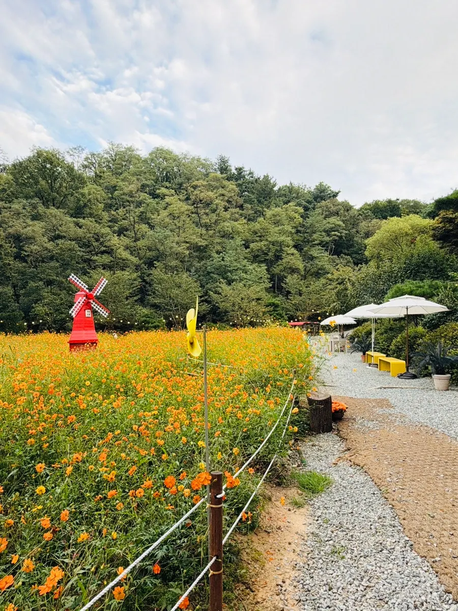 Pino Cafe's roughly 3,000-pyeong outdoor garden