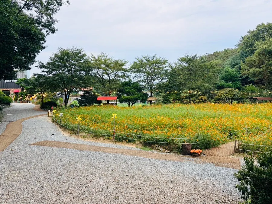 Flower fields and walking path behind the café