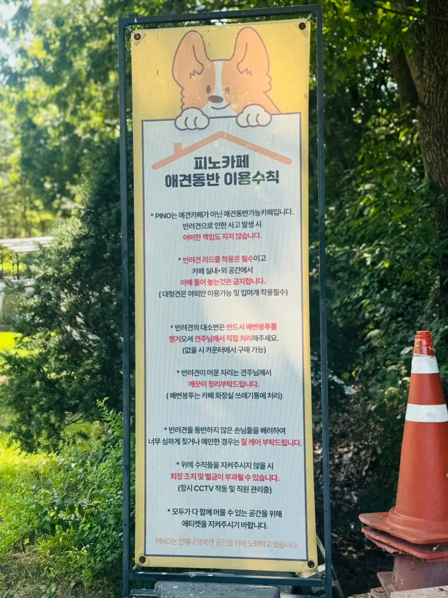피노카페 애견동반 이용수칙 안내
