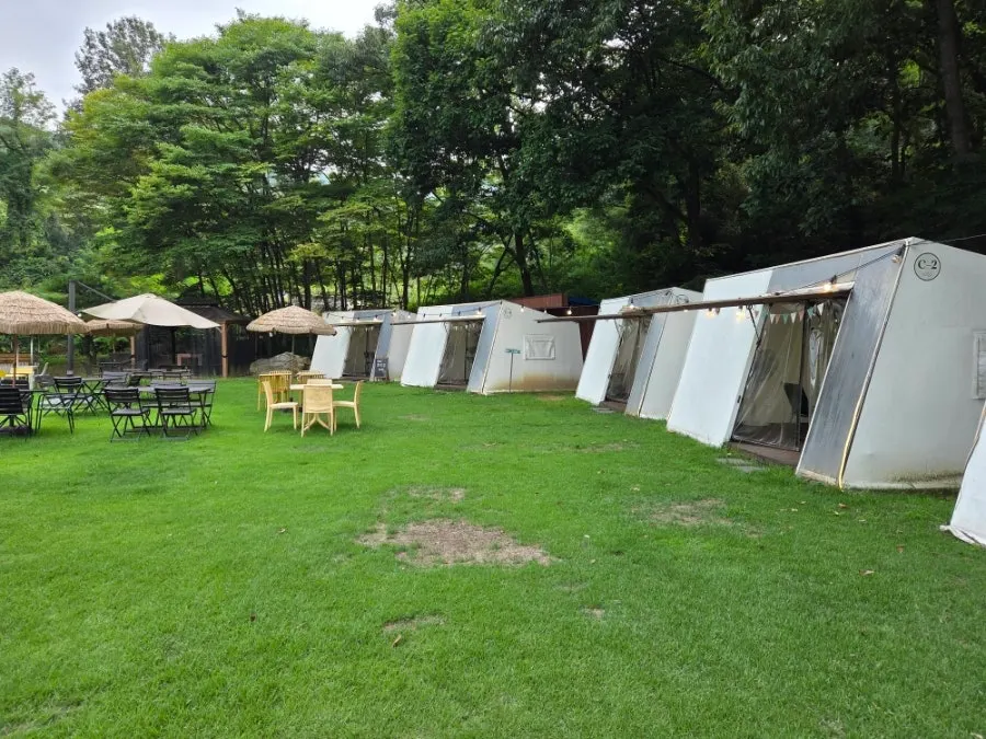 Inside Pino Cafe's tent zone space