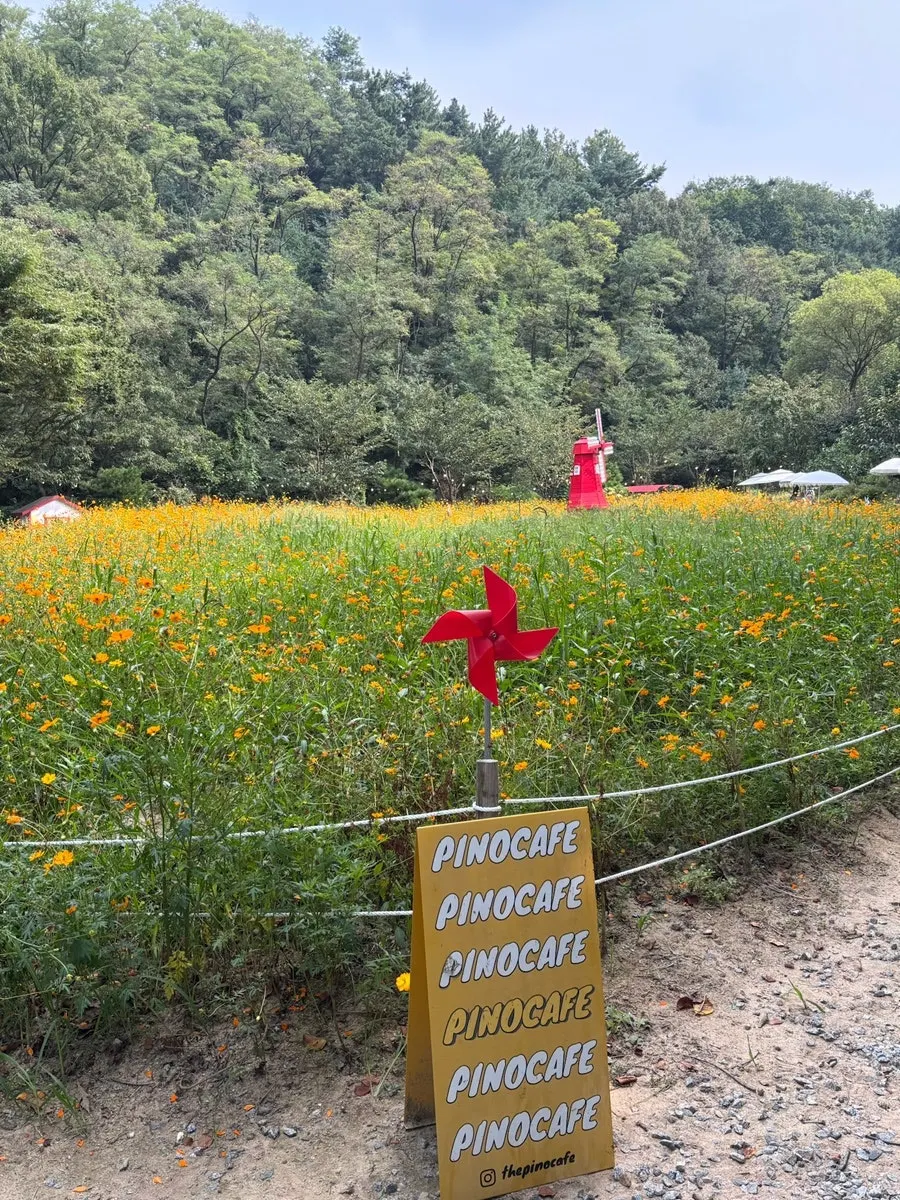 Pino Cafe's 3,000-pyeong outdoor garden
