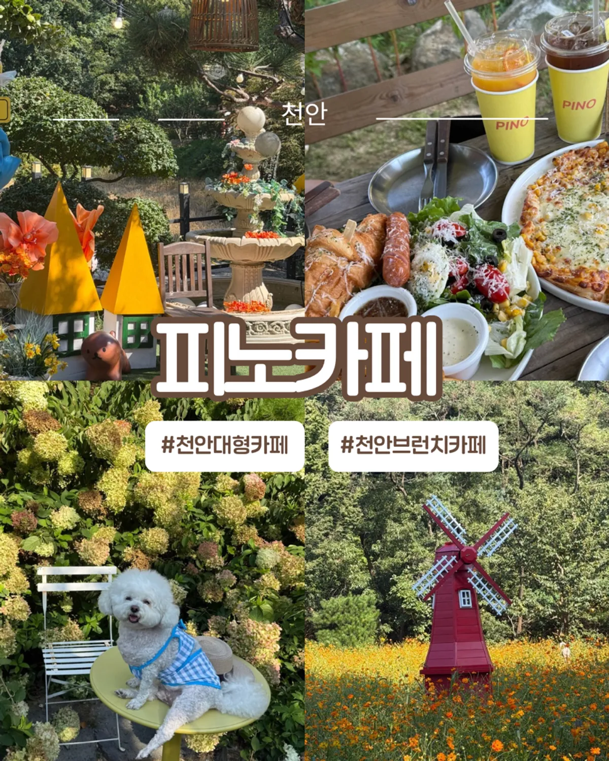 View of Pino Cafe Cheonan inside Taehaksan Natural Recreation Forest