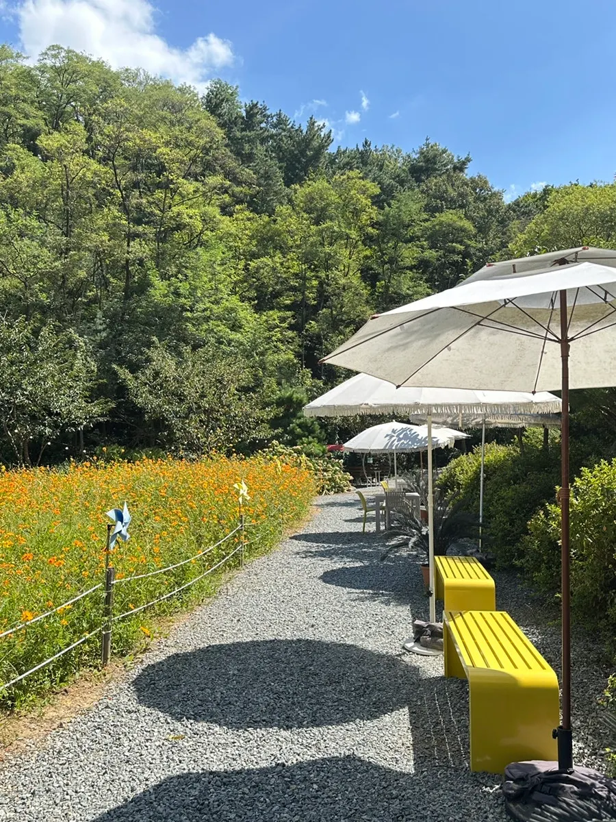 The walking trail through Pino Cafe's garden