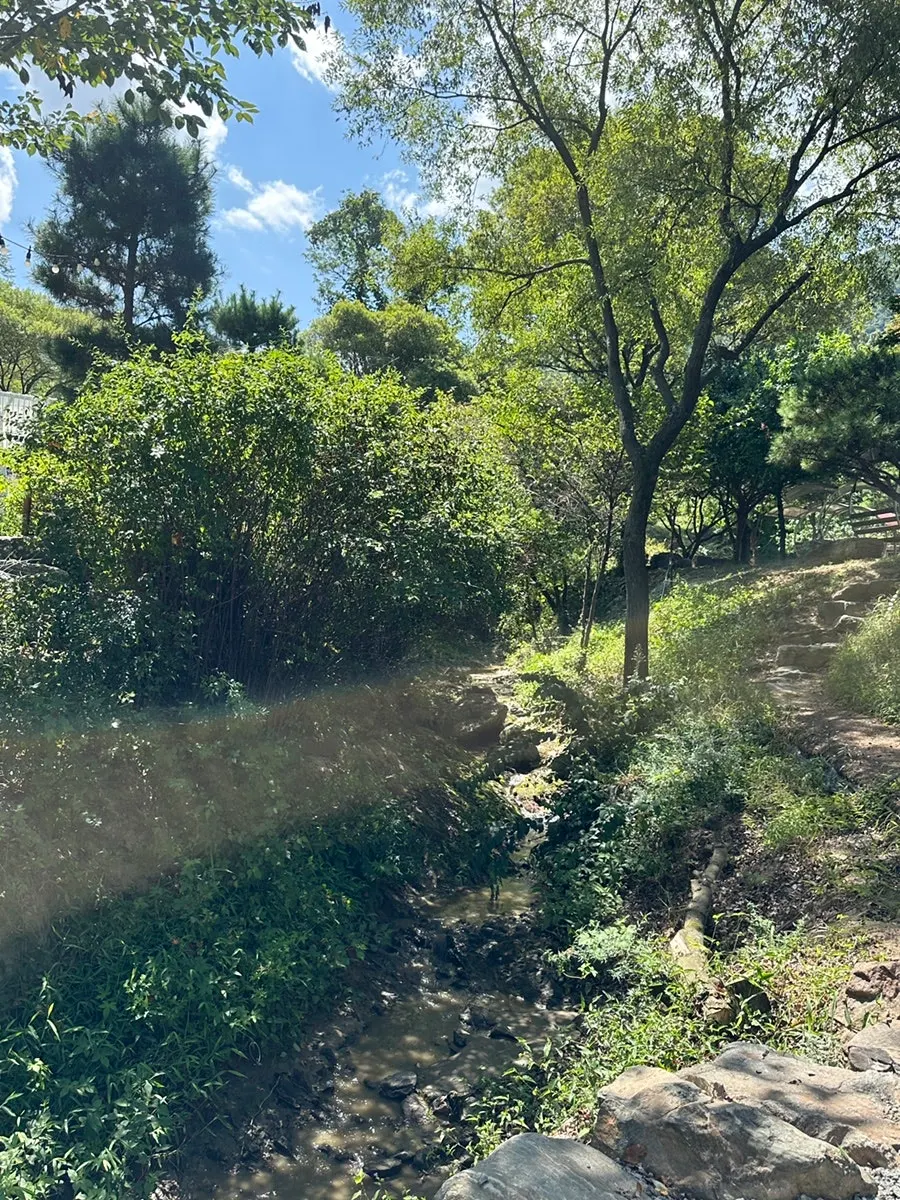 A walking path with a view of Taehaksan