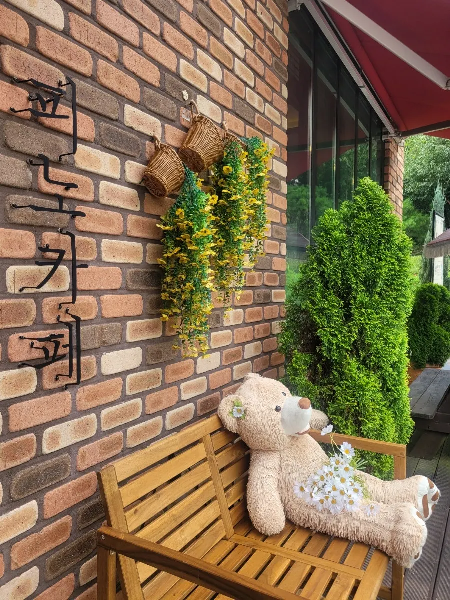 Wooden bench and teddy bear to the right of Pino Cafe's front door