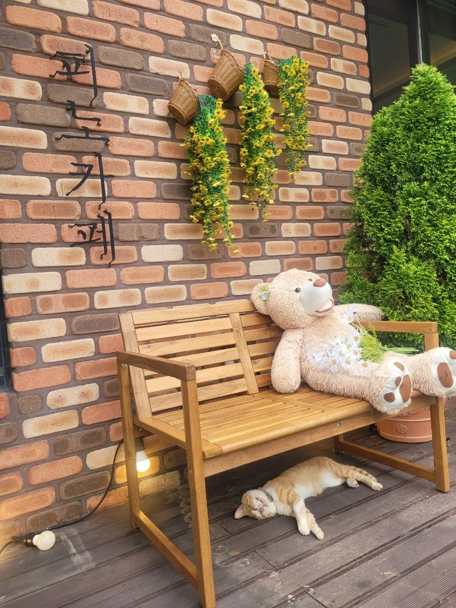 A cat sleeping at the entrance of Pino Cafe