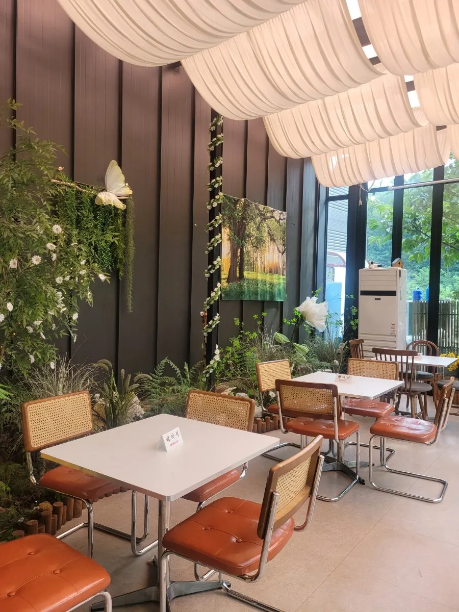 Outdoor space filled with green plants next to the main building