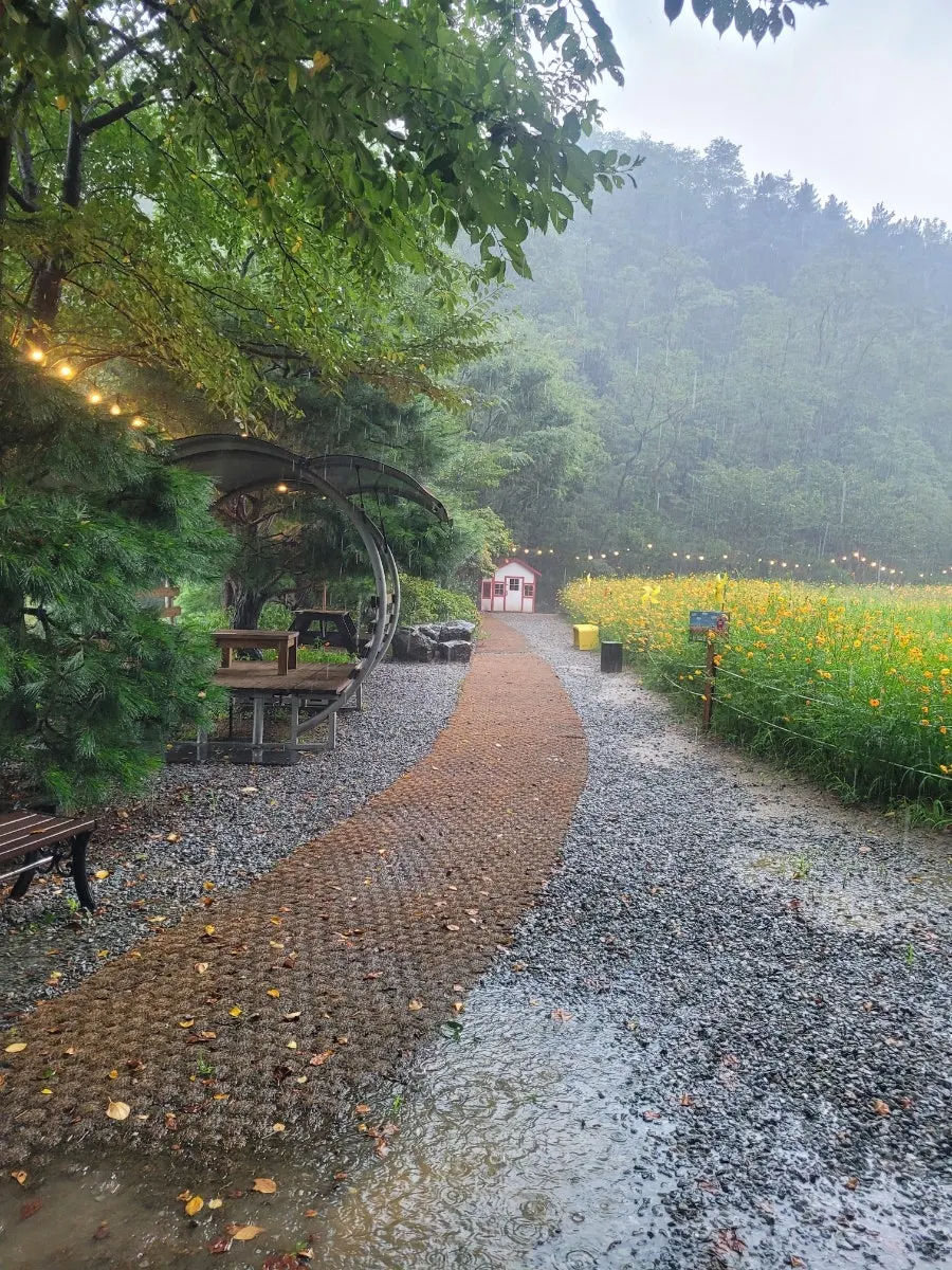 Heavy rain falling on the garden beneath Taehaksan