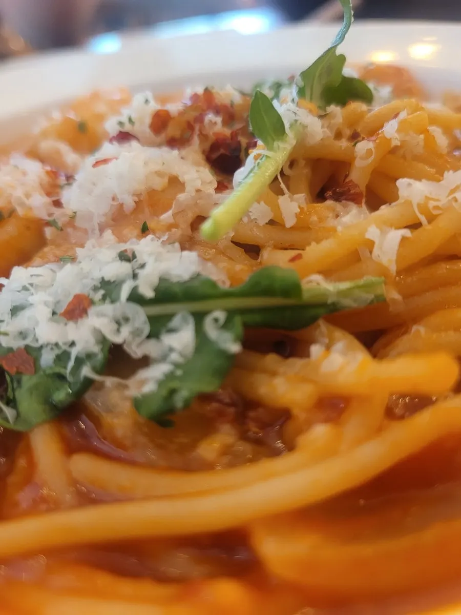 Tomato-loaded pasta with plenty of tomato sauce