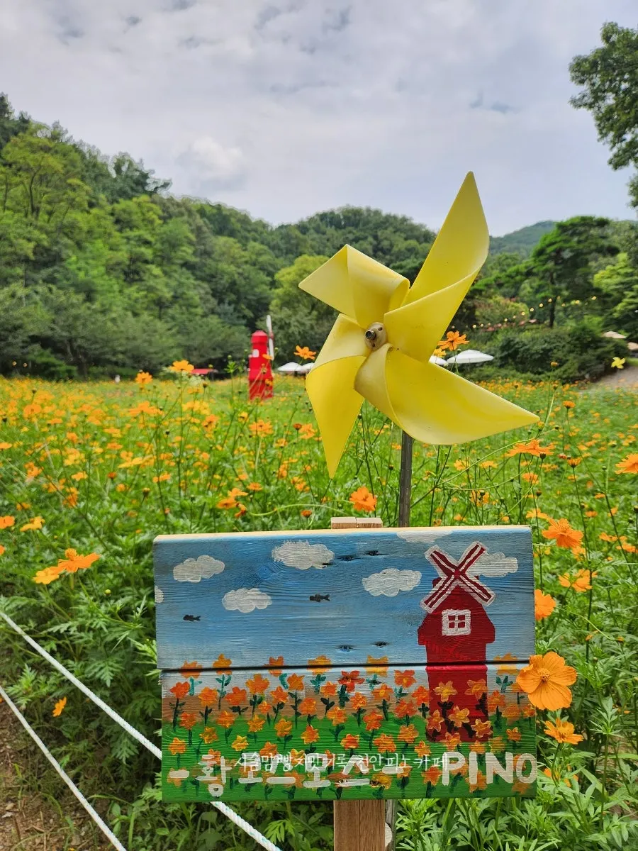 Storybook-like garden space at Pino Cafe