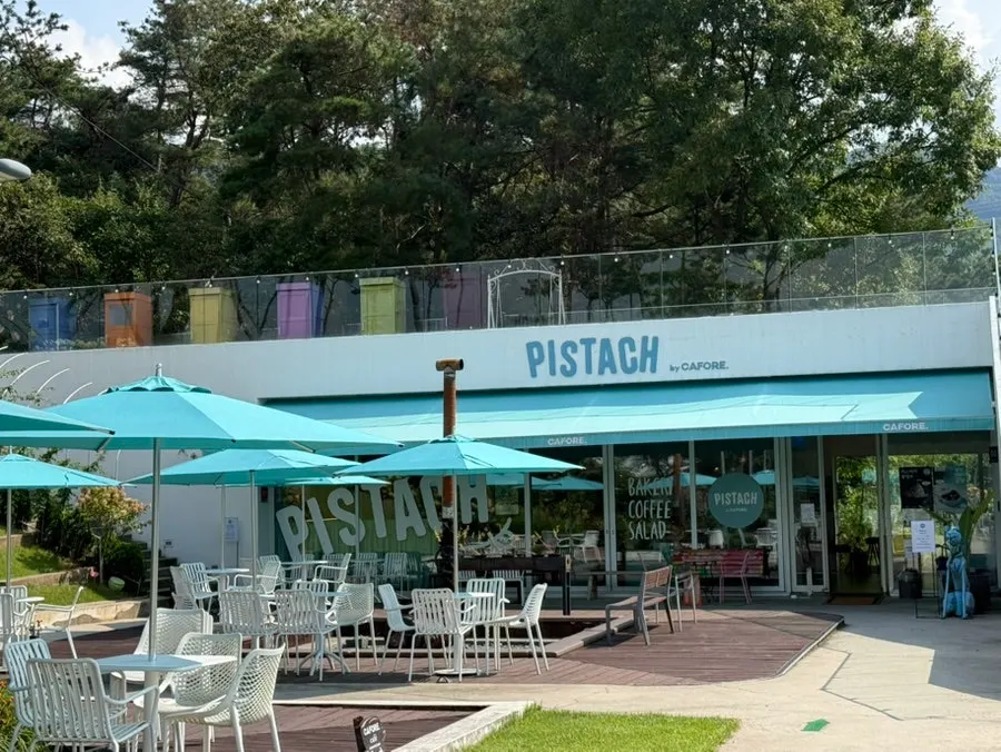 Wide open yard and view of the café seen from the staircase