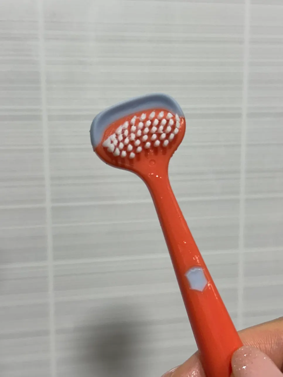 피터페러 아침 구강 관리 방법 이미지