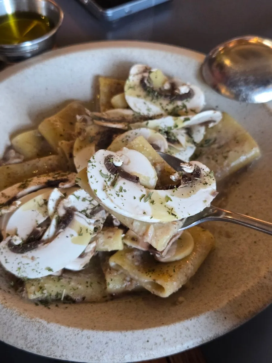 Paccheri mushroom cream pasta