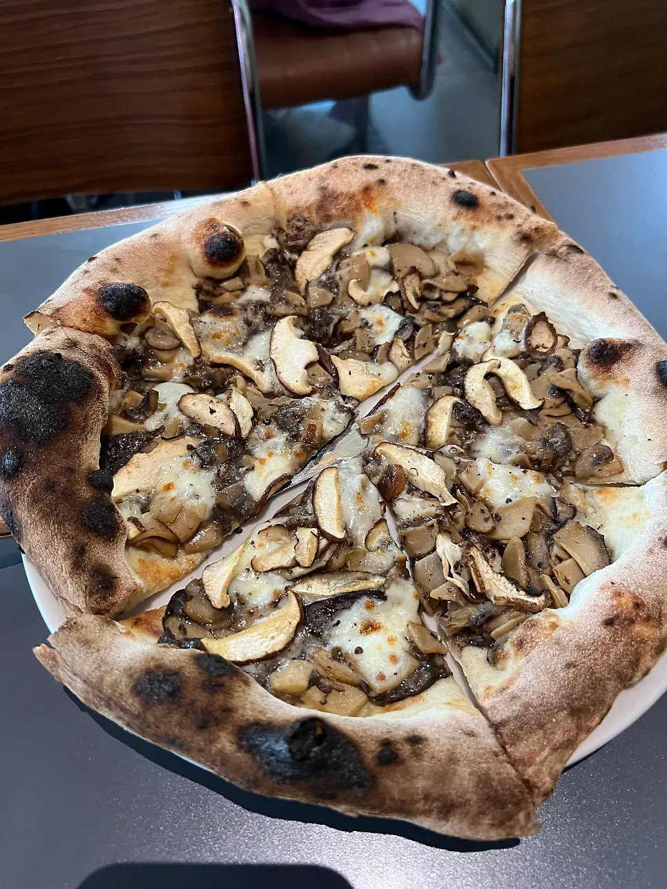 A slice lifted from the Snug Classica