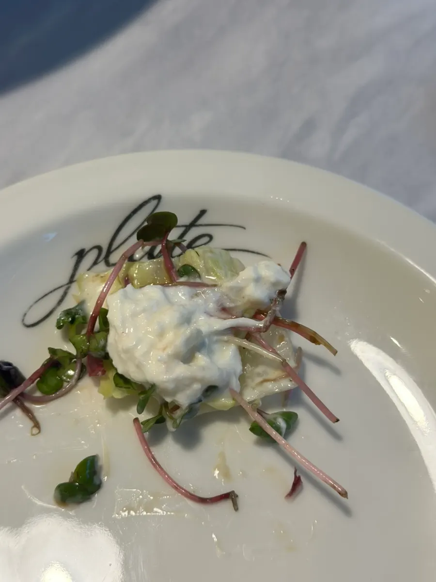 Primer plano de un bocado de ensalada de burrata