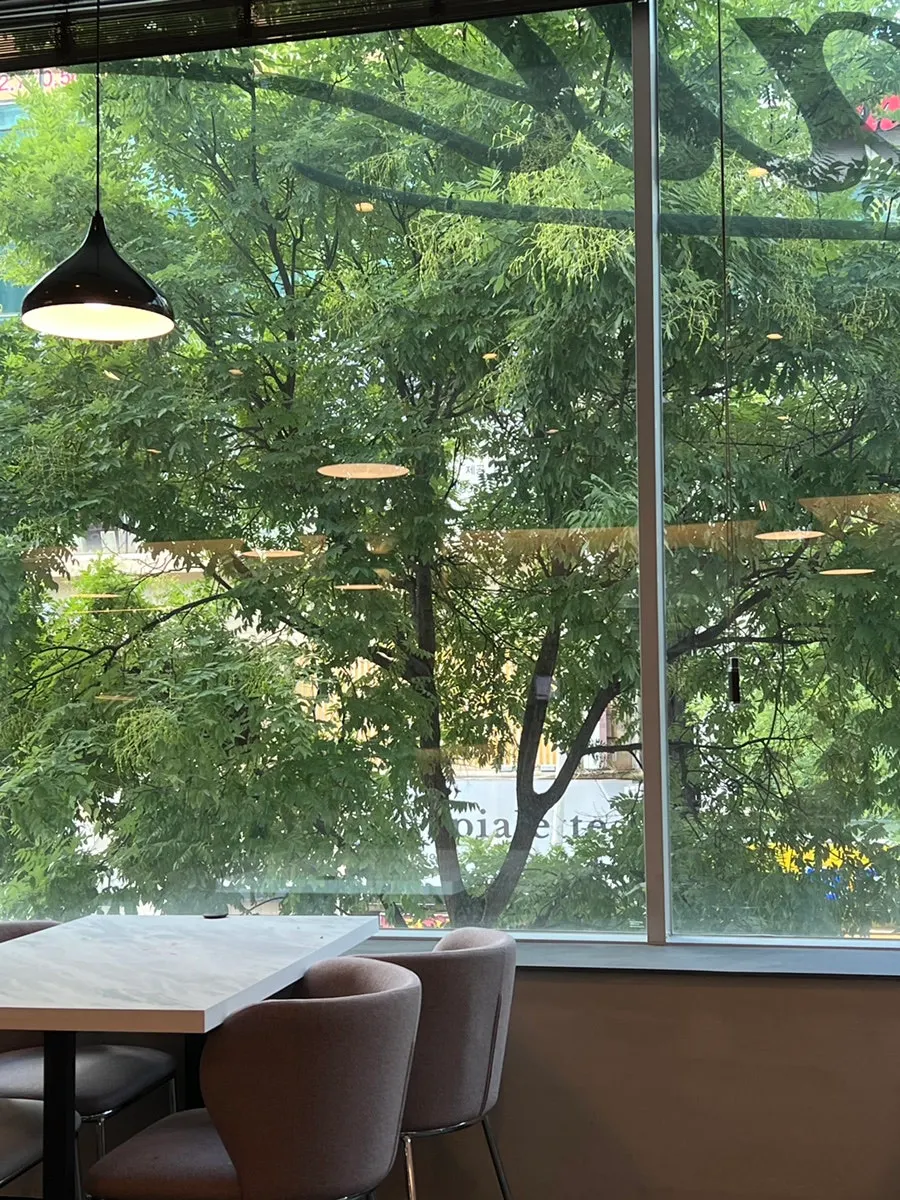 Window seating with green view at Plate Dunsan Branch