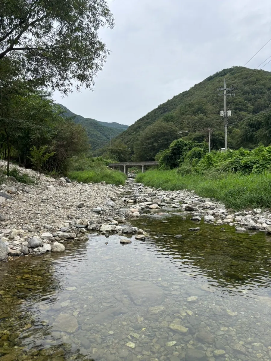 Damteo Valley with fish