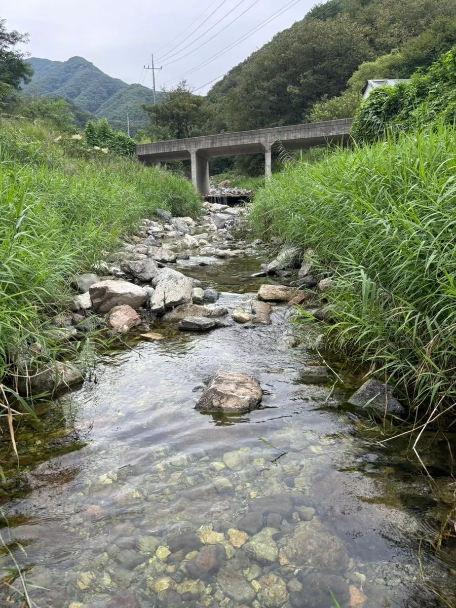 Valley surrounded by green mountains