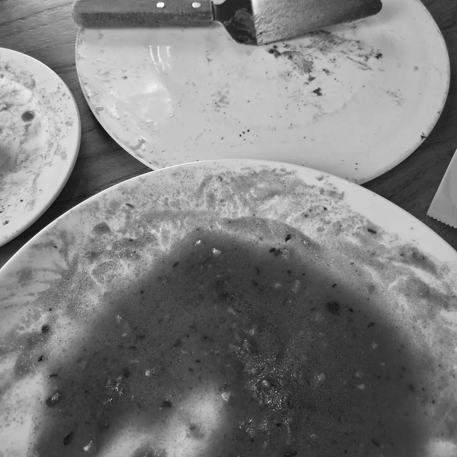 Empty plate after finishing the meal