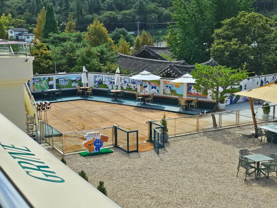 Dog run at Geurine Oasis