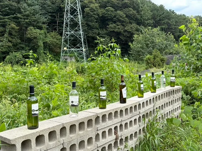 초록 식물로 둘러싸인 프롬이태리 야외공간