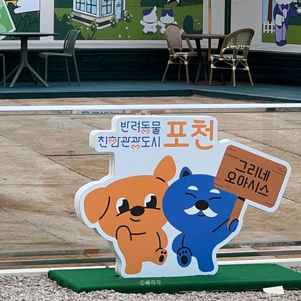 애견동반 가능한 강아지 운동장 공간