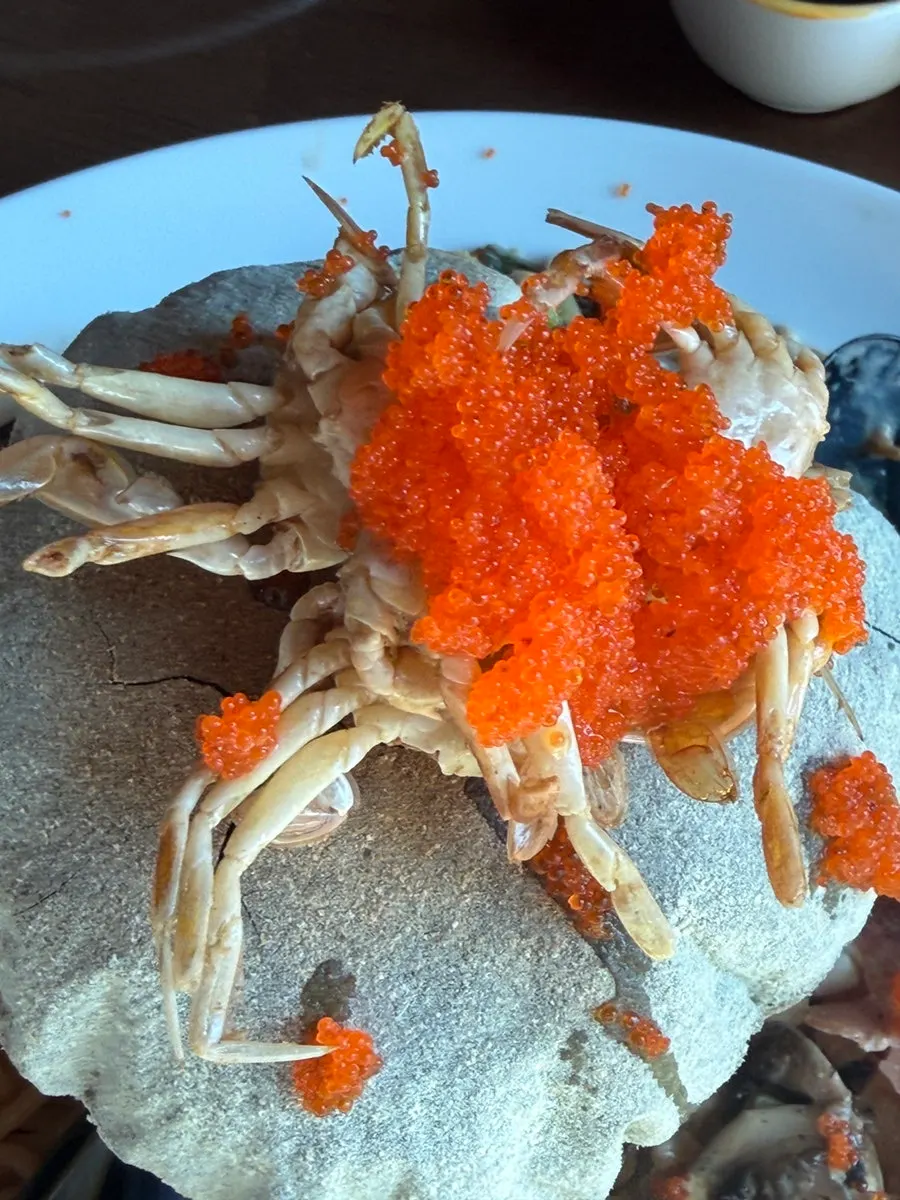 Close-up of cream pasta with baby crab and mussels