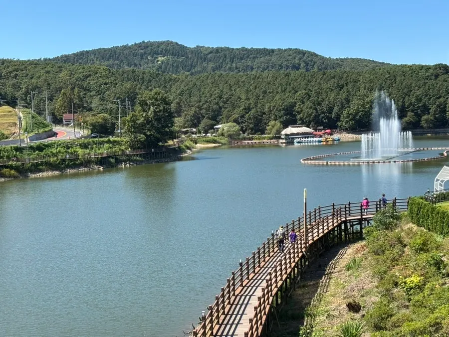 Fountain rising over the reservoir