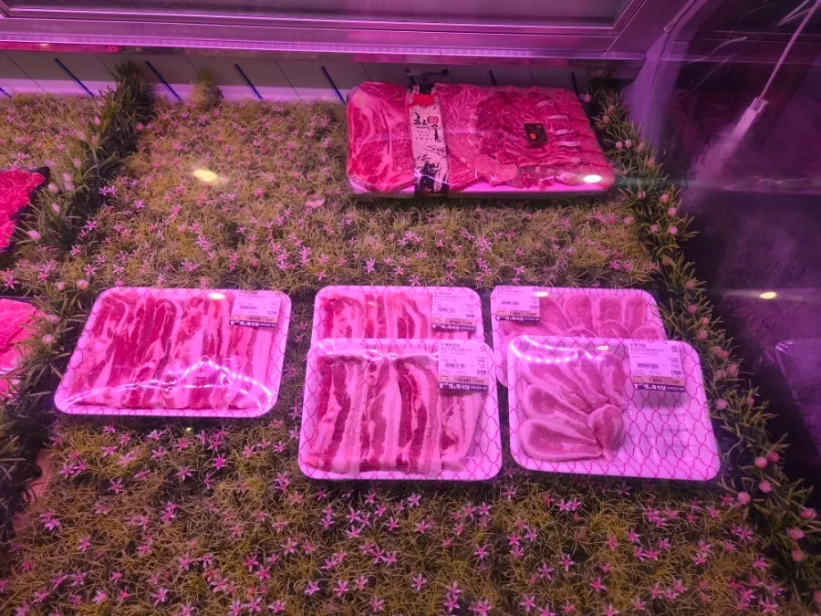 Deep red hanwoo and pork in the meat showcase