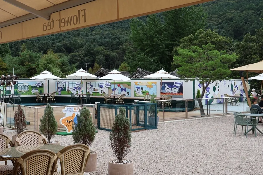 Fenced pet zone for dogs