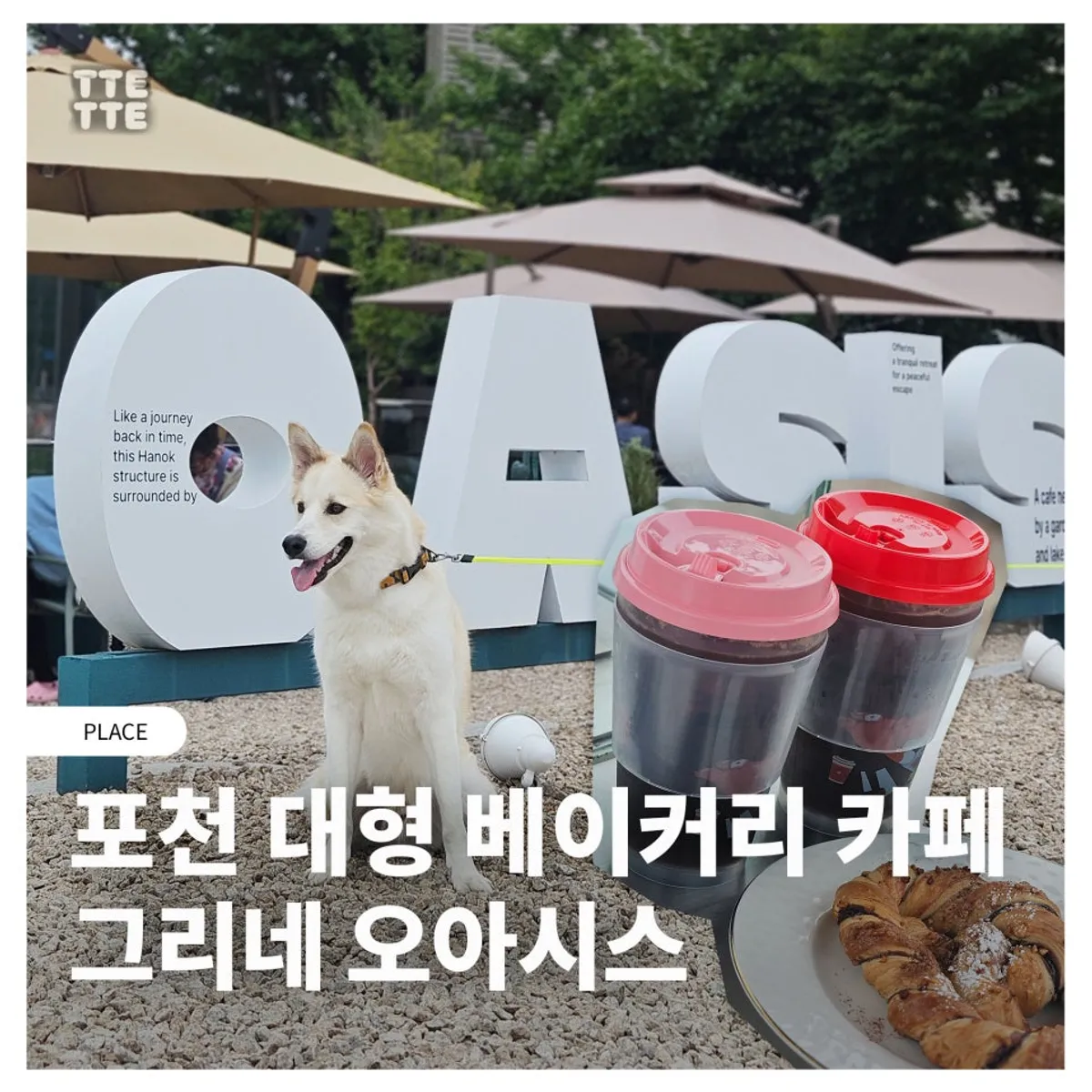Cover photo of Geurine Oasis in Pocheon