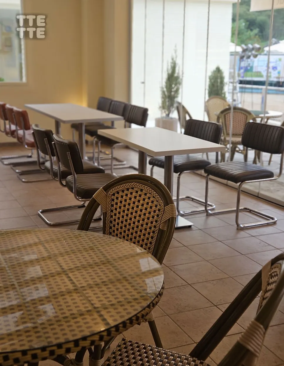 Café table with a large dog seated alongside
