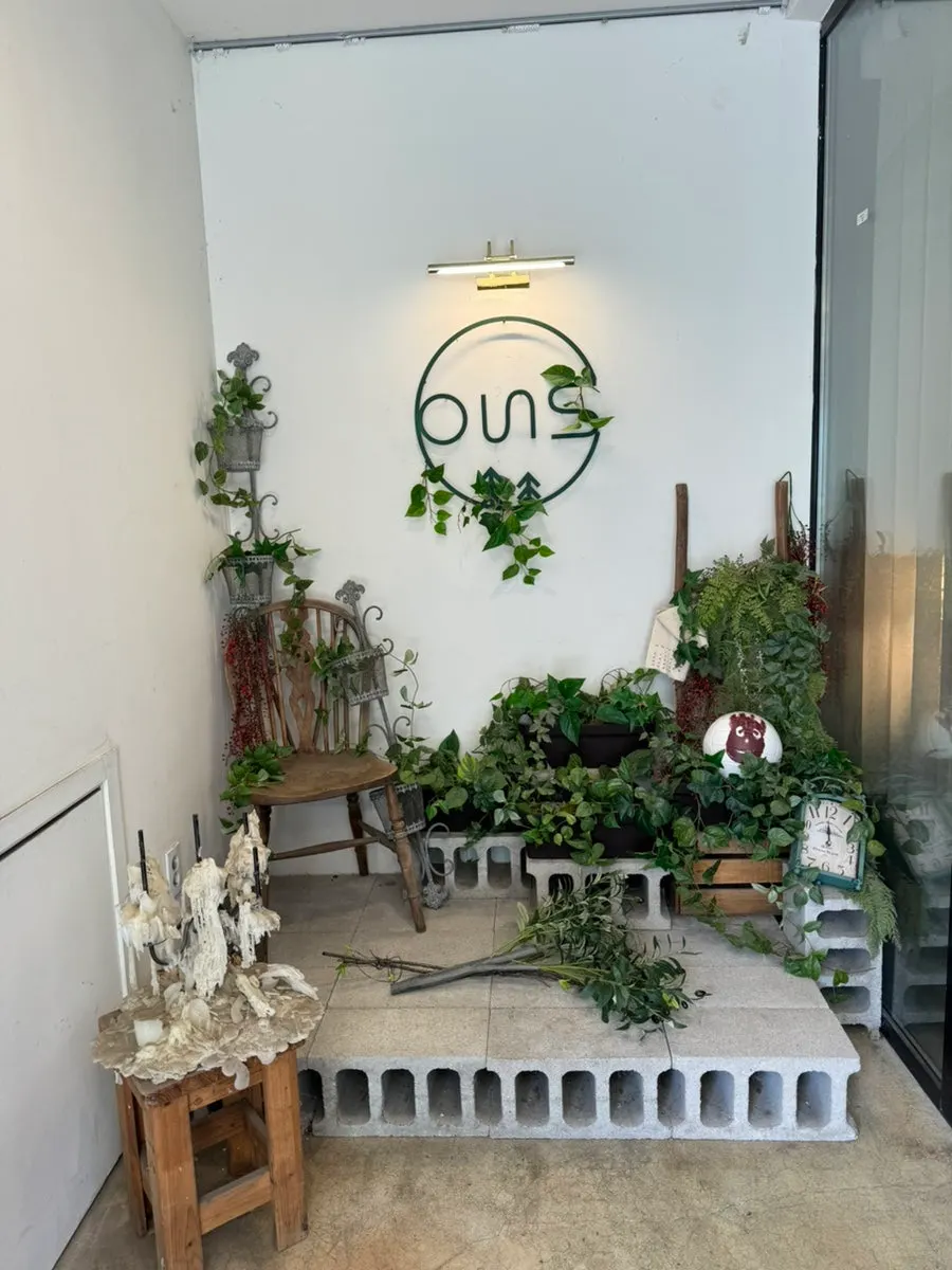 摆放盆栽的店前木平台拍照点