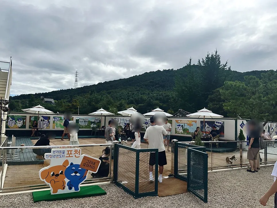 Outdoor pet playground