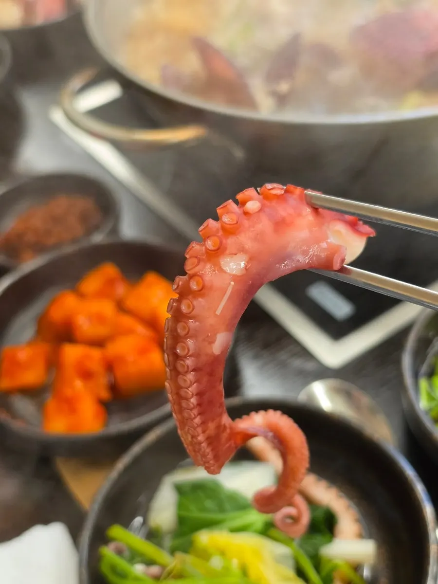 A lightly blanched piece of octopus leg