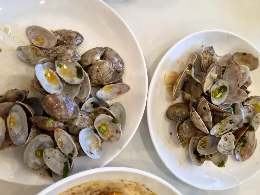 Leftover clam shells after eating