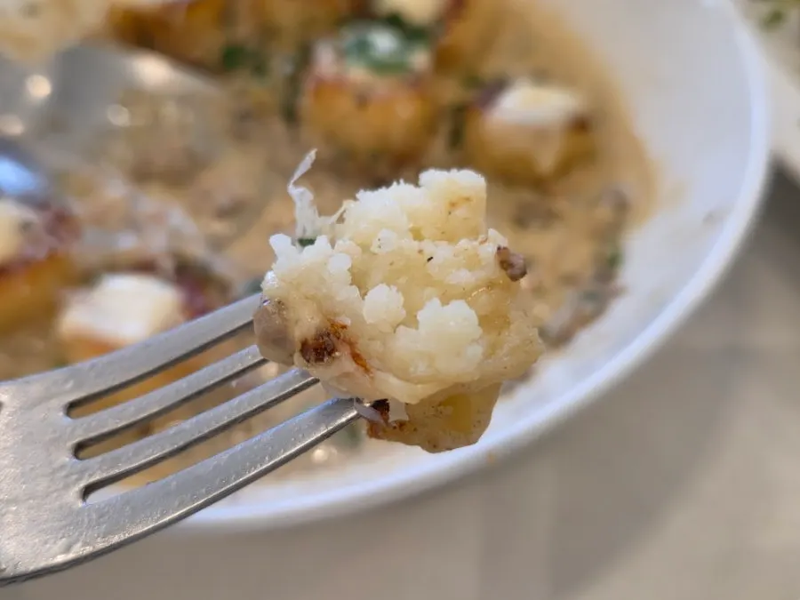 White ragu gnocchi topped with cheese