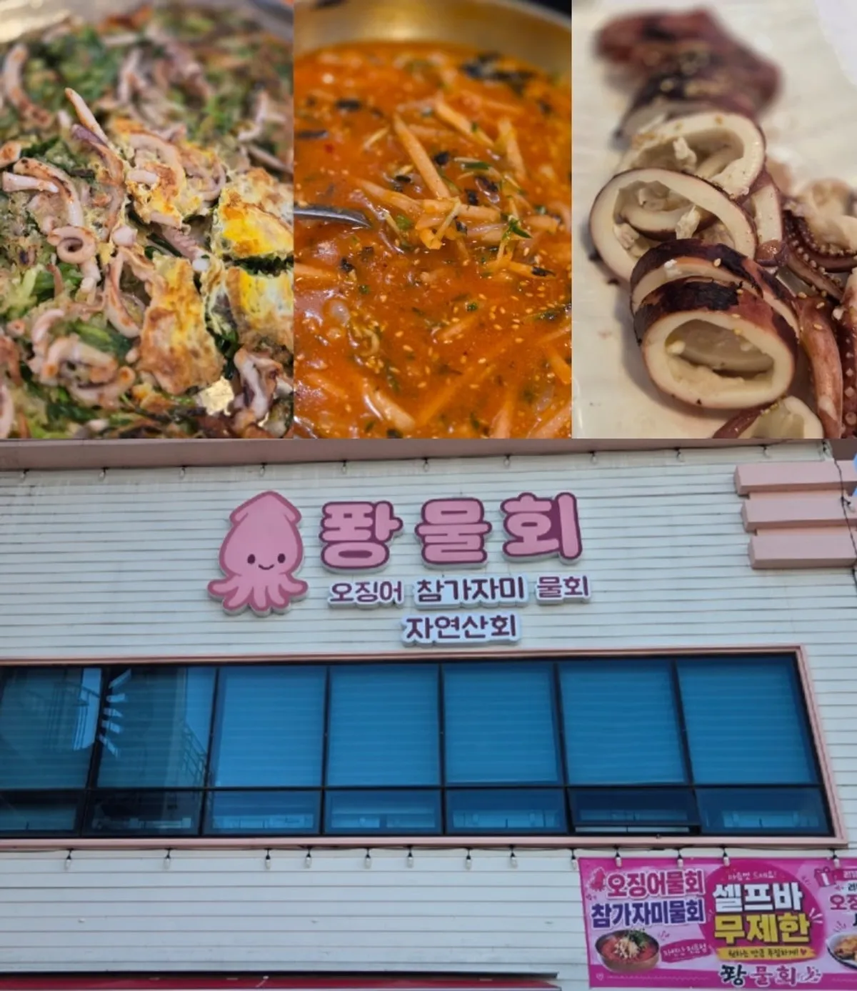 A full spread of squid mulhoe at Ppwang Mulhoe in Duho-dong, Pohang