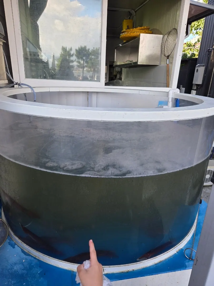 Squid tank at the entrance of Ppwang Mulhoe