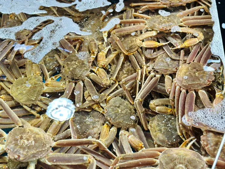 예약 후 착석한 식당 테이블