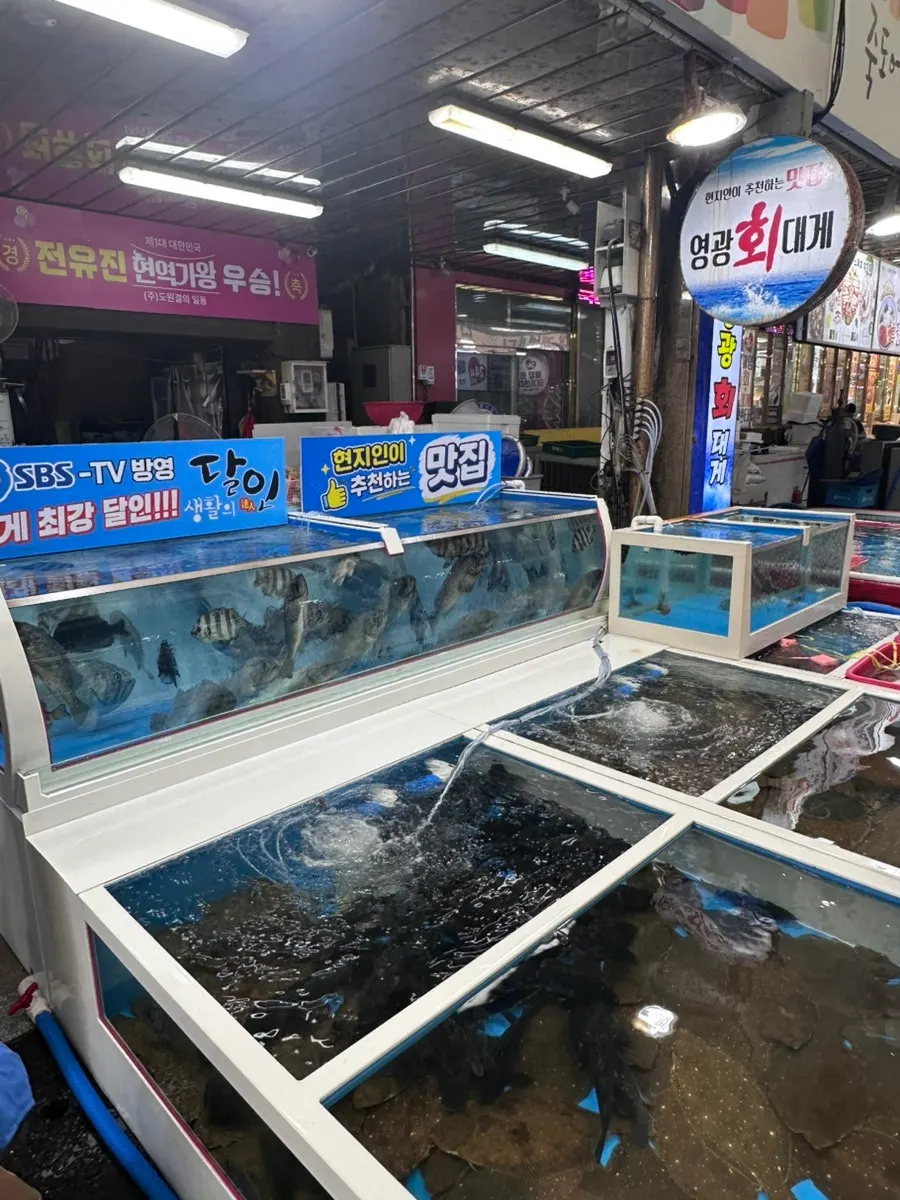 Dokdo shrimp dalam akuarium