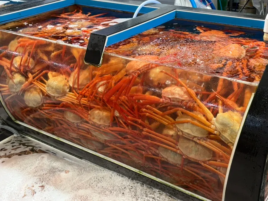 한산한 오후 3시 식당 홀 풍경