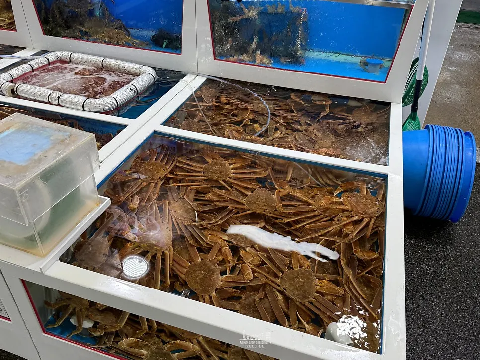 Jukdo Market crabs displayed by variety
