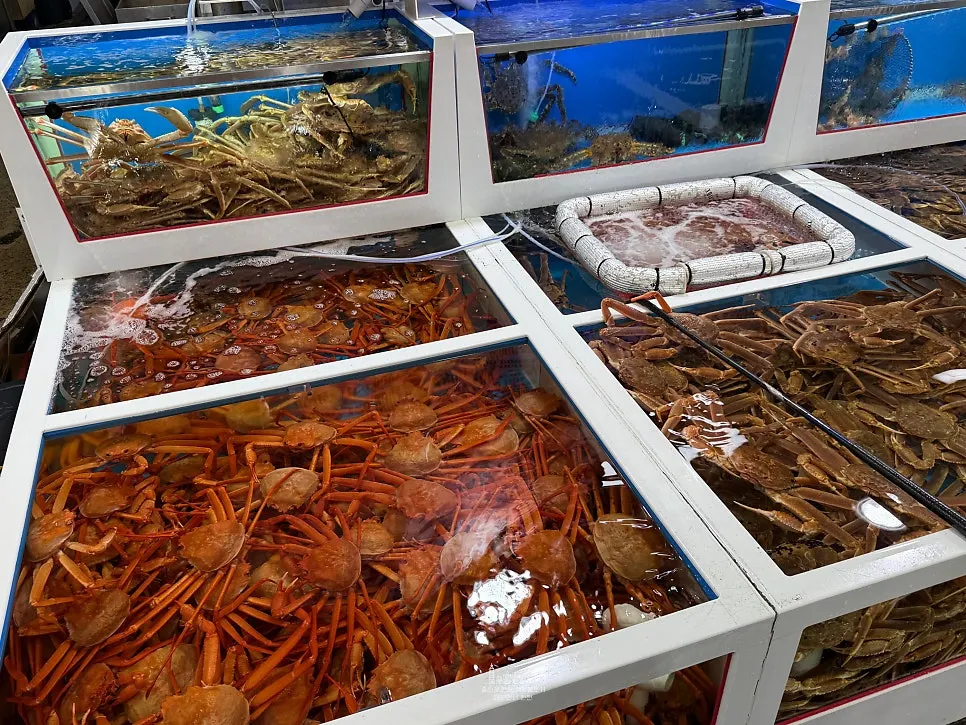 Crab tank in front of Yeonggwang Hoe Daegae Center