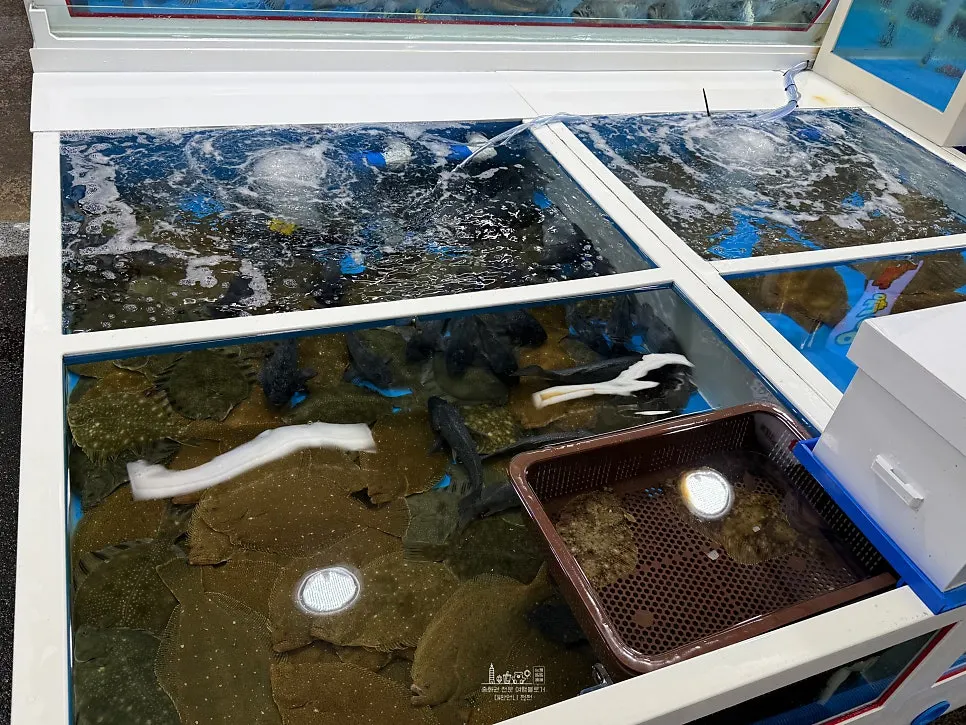 Outdoor display stand at the Jukdo Market crab restaurant