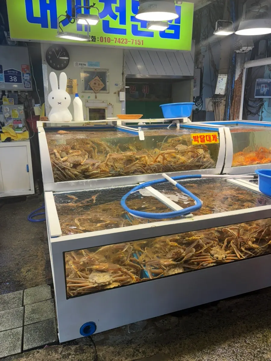 갈릴리대게회식당 가게 앞 수산물 진열