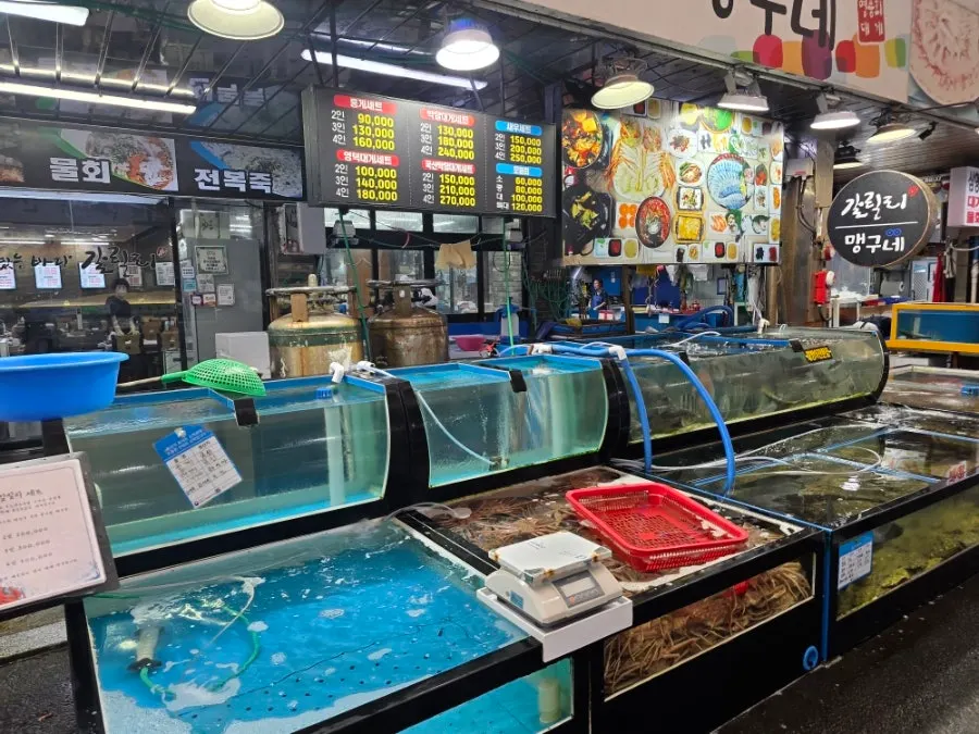 Imported bakdal snow crab and seafood in tanks by the entrance