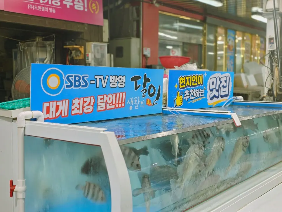 횟집들이 늘어선 죽도시장 횟집 골목