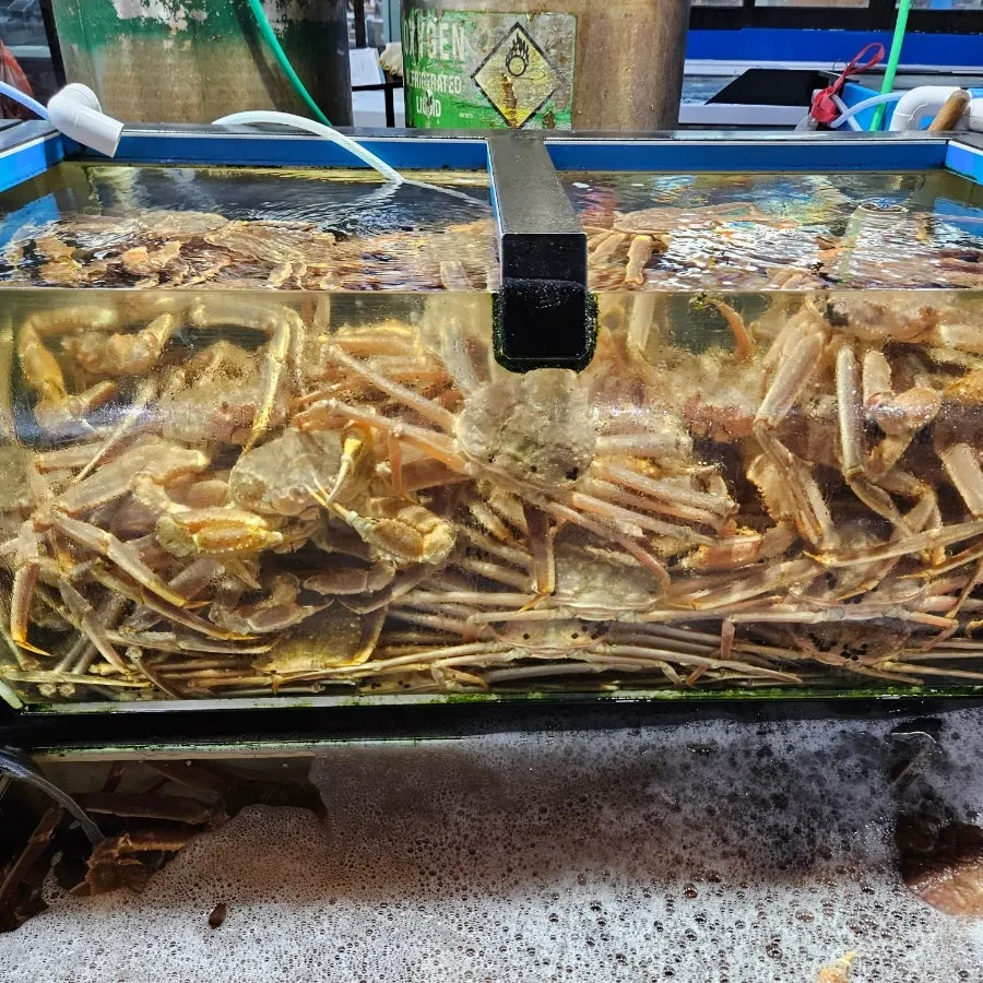Seafood in the tank in front of the restaurant