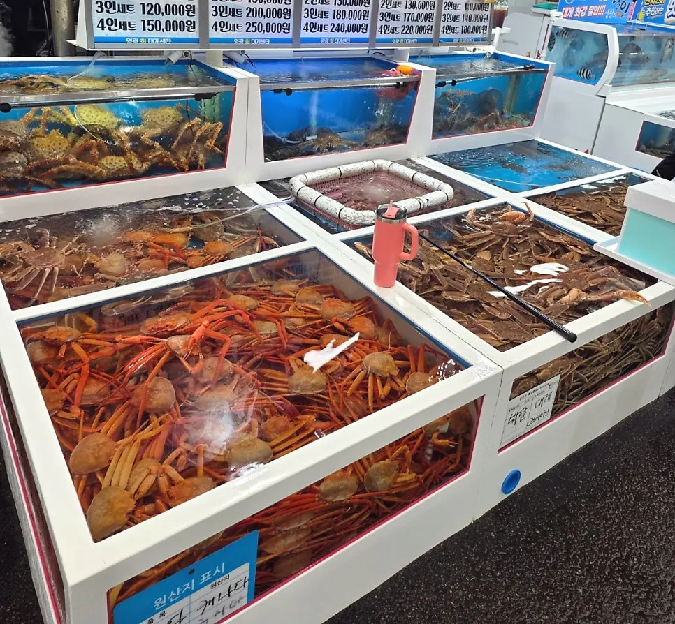 Live crabs in the tank